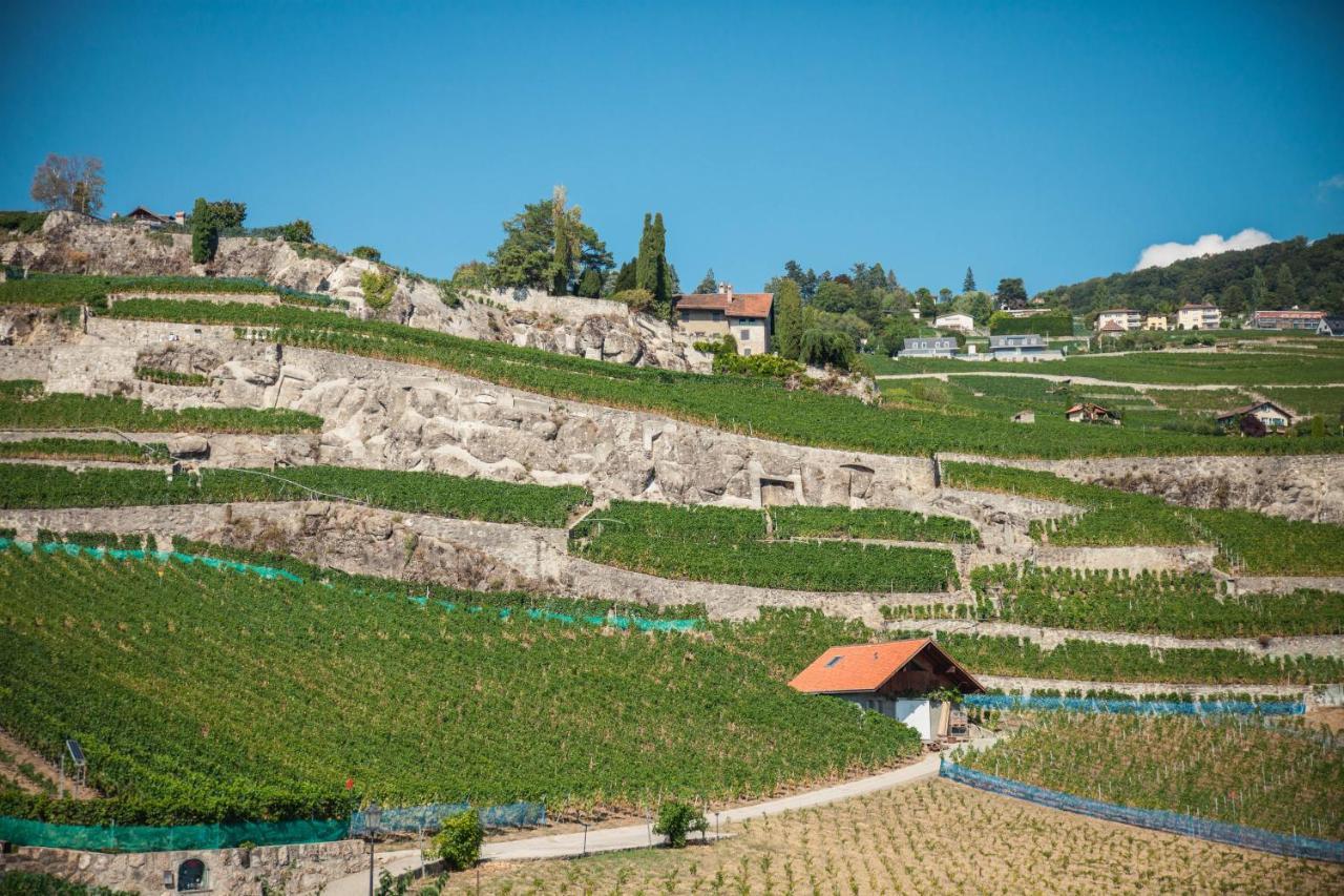 Auberge De Rivaz Zewnętrze zdjęcie